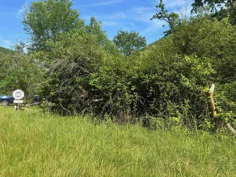 Tbd 1.99 Acres Parkersburg Turnpike Swoope VA 24479