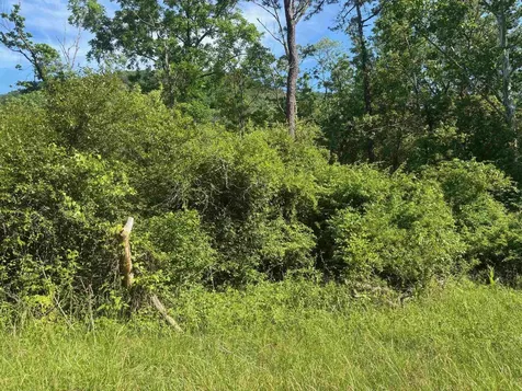 Tbd 1.99 Acres Parkersburg Turnpike Swoope VA 24479