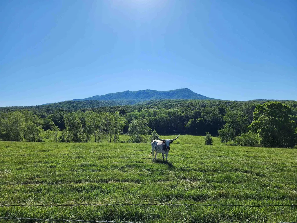 Tbd Indian Trail Road Penn Laird VA 22846