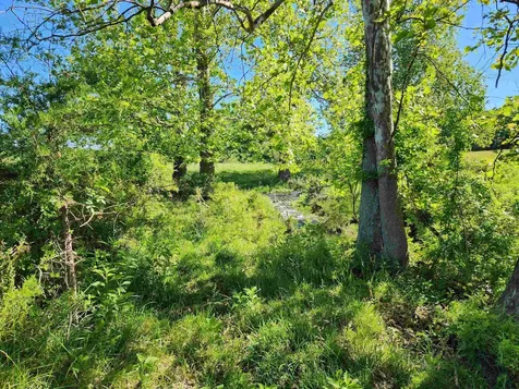 Tbd Indian Trail Road Penn Laird VA 22846