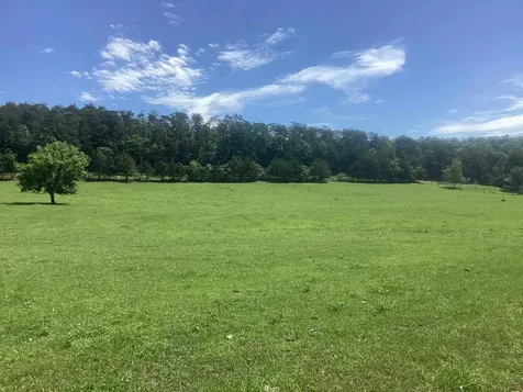 0 Orkney Grade Mt Jackson VA 22842