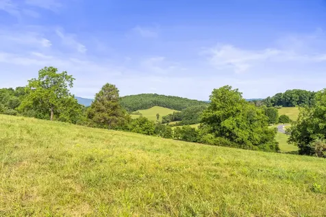 Lot 22 Koogler Trail Raphine VA 24472