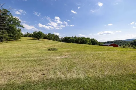 12199 Hollow Road Fulks Run VA 22830