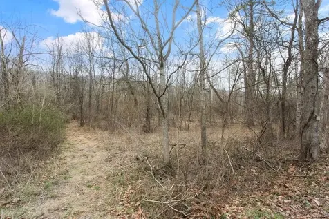 12111 Sleepy Hollow Lane Fulks Run VA 22830