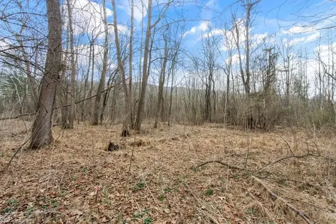 12111 Sleepy Hollow Lane Fulks Run VA 22830