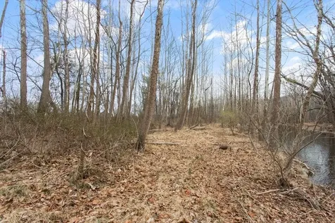12111 Sleepy Hollow Lane Fulks Run VA 22830