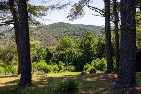 1093 Overlook Mountain Road Elkton VA 22827
