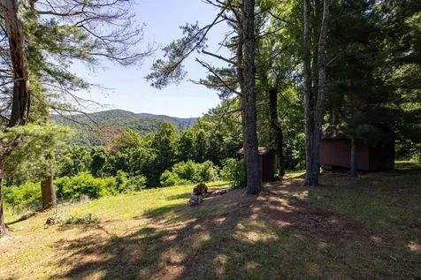1093 Overlook Mountain Road Elkton VA 22827