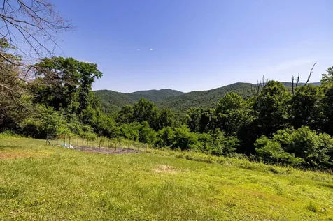 1093 Overlook Mountain Road Elkton VA 22827