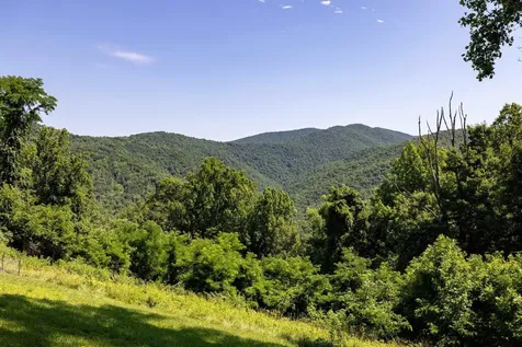1093 Overlook Mountain Road Elkton VA 22827