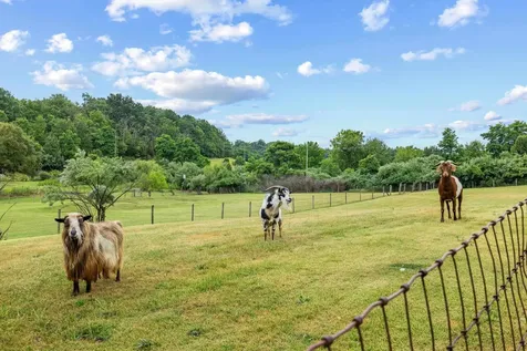 2425 Old Greenville Road Staunton VA 24401
