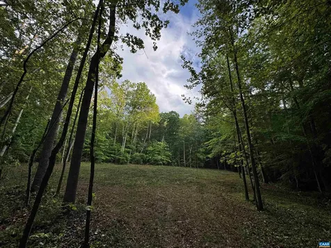 0 Fredericksburg Road Ruckersville VA 22968