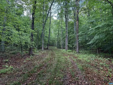 0 Fredericksburg Road Ruckersville VA 22968