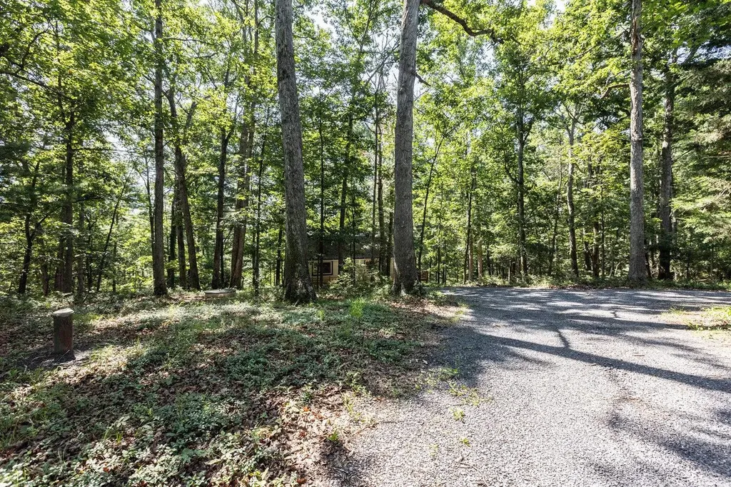 16184 Moonrise Lane Broadway VA 22815