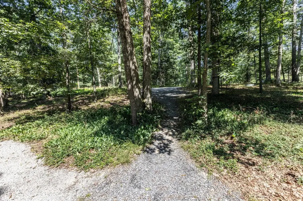 16184 Moonrise Lane Broadway VA 22815