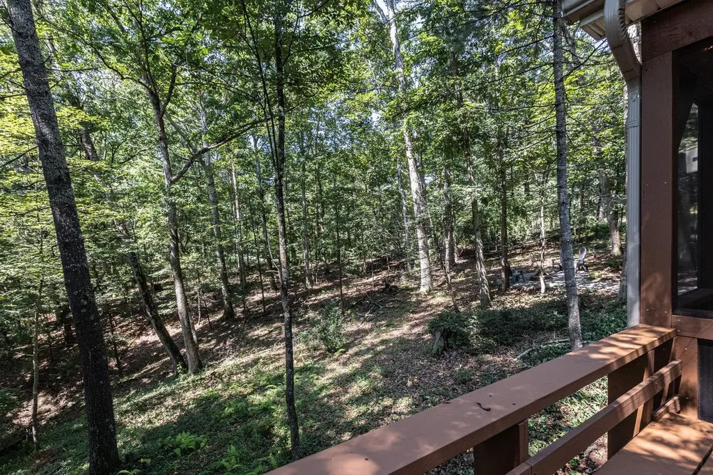 16184 Moonrise Lane Broadway VA 22815