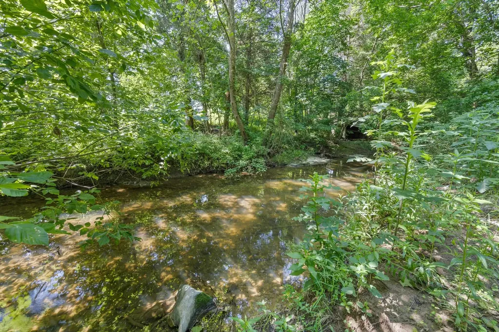 3416 Point Road E Elkton VA 22827