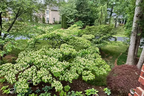 1515 Cumberland Drive Rockingham VA 22801