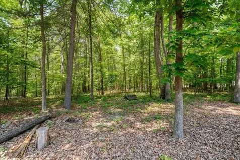 4201 Brown Mountain Lane Elkton VA 22827