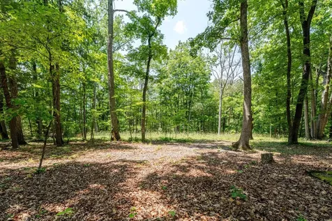 4201 Brown Mountain Lane Elkton VA 22827