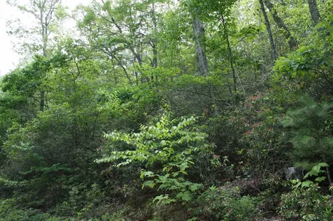 43 High Valley South Monterey VA 24465
