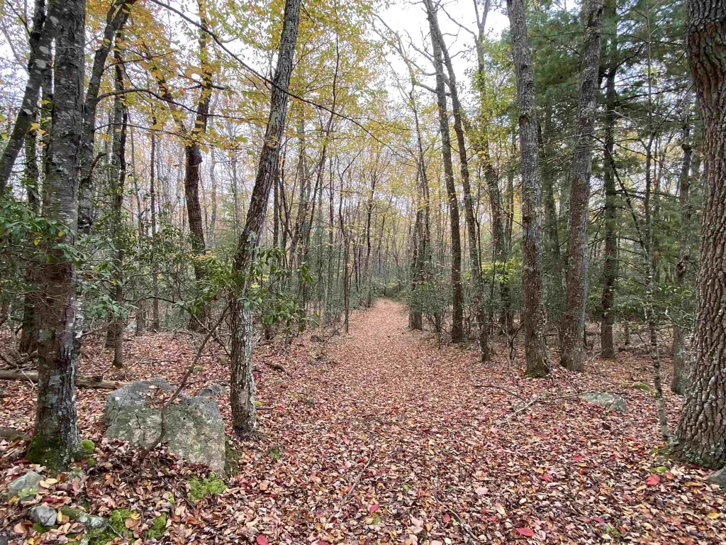 Tbd Halterman Hollow Lane Monterey VA 24465