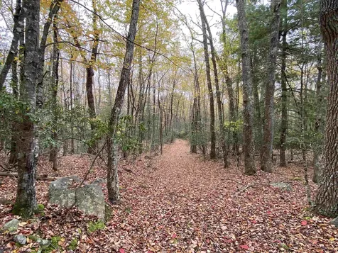 Tbd Halterman Hollow Lane Monterey VA 24465