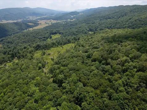 Tbd Halterman Hollow Lane Monterey VA 24465