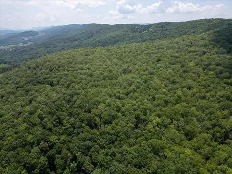 Tbd Halterman Hollow Lane Monterey VA 24465