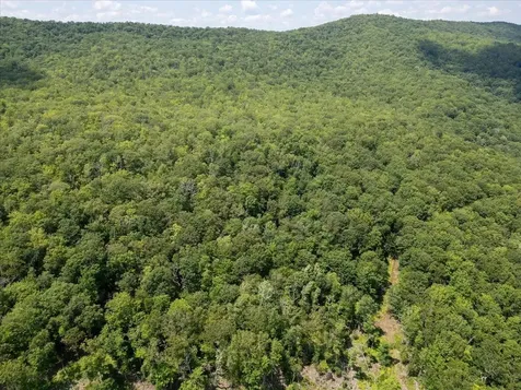 Tbd Halterman Hollow Lane Monterey VA 24465