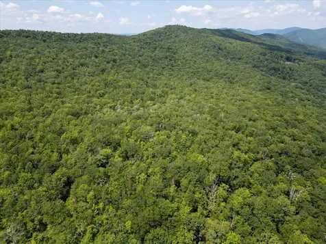 Tbd Halterman Hollow Lane Monterey VA 24465