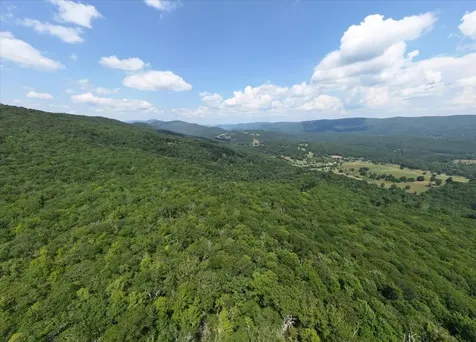 Tbd Halterman Hollow Lane Monterey VA 24465