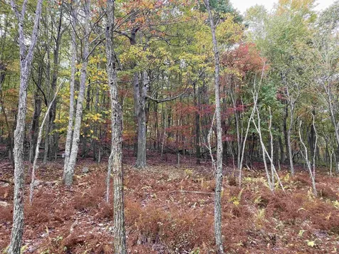 Tbd Halterman Hollow Lane Monterey VA 24465