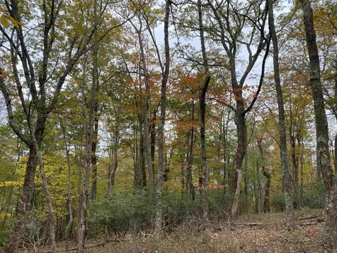 Tbd Halterman Hollow Lane Monterey VA 24465