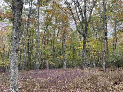Tbd Halterman Hollow Lane Monterey VA 24465