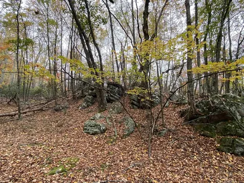 Tbd Halterman Hollow Lane Monterey VA 24465