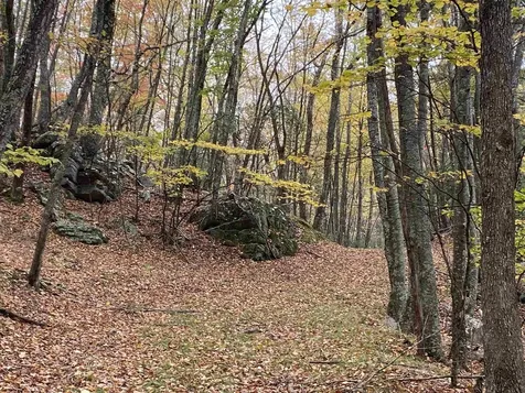Tbd Halterman Hollow Lane Monterey VA 24465