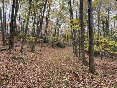 Tbd Halterman Hollow Lane Monterey VA 24465