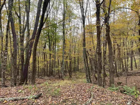 Tbd Halterman Hollow Lane Monterey VA 24465