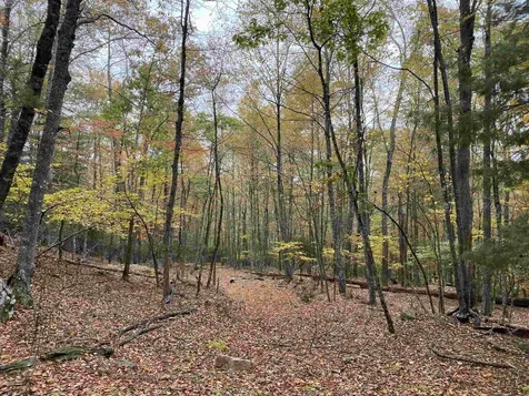 Tbd Halterman Hollow Lane Monterey VA 24465