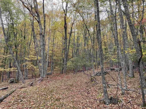 Tbd Halterman Hollow Lane Monterey VA 24465