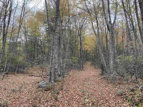 Tbd Halterman Hollow Lane Monterey VA 24465