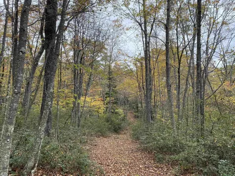 Tbd Halterman Hollow Lane Monterey VA 24465