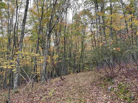 Tbd Halterman Hollow Lane Monterey VA 24465