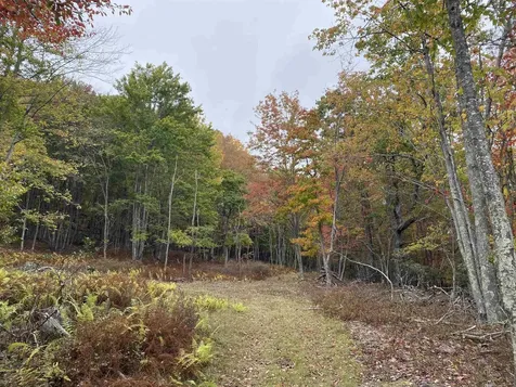 Tbd Halterman Hollow Lane Monterey VA 24465