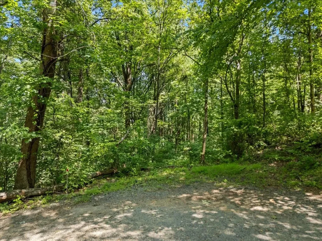 Tbd Marcs Place Stanardsville VA 22973