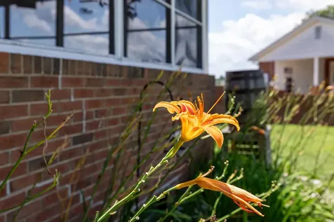 5226 Dogwood Drive Mt Jackson VA 22842
