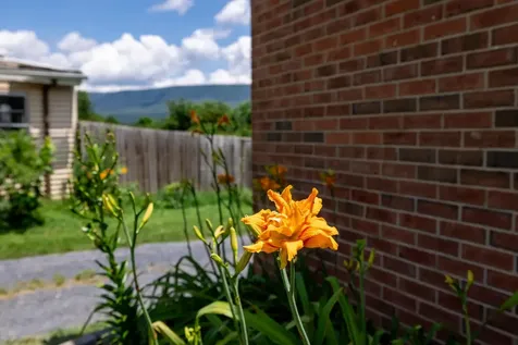 5226 Dogwood Drive Mt Jackson VA 22842