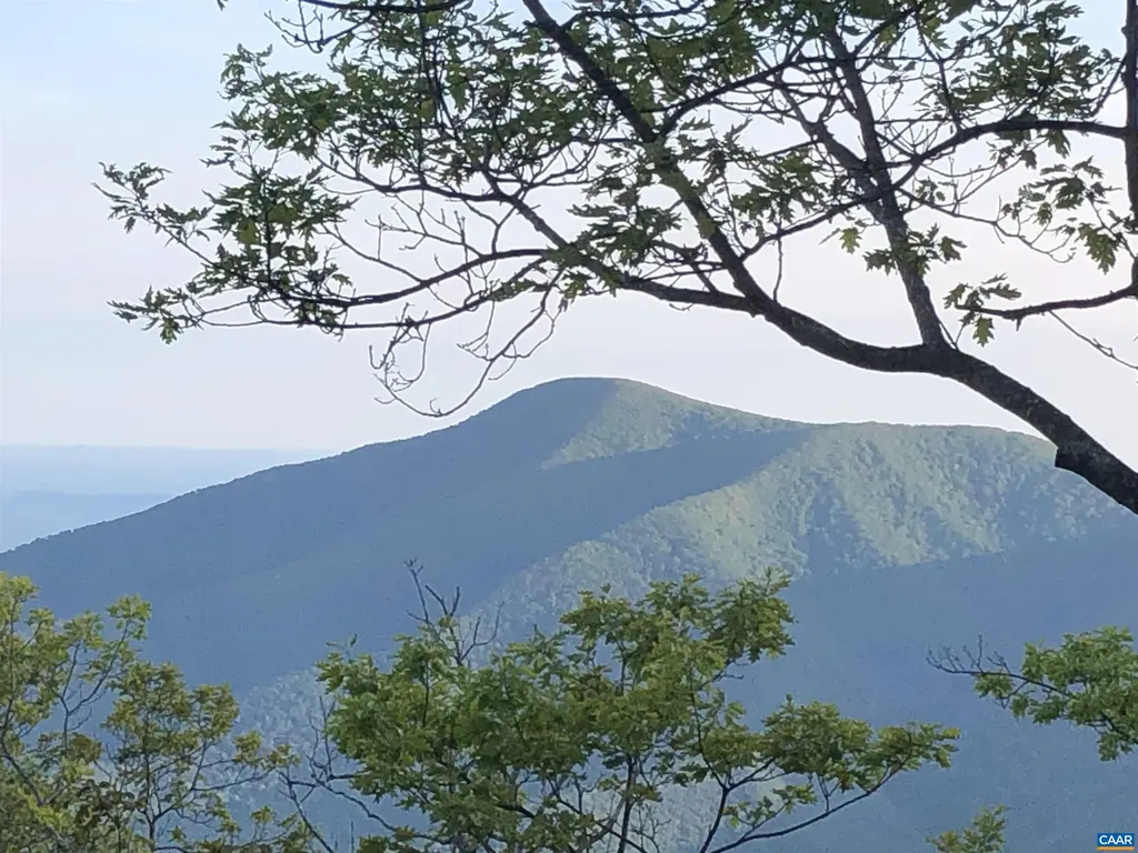 788 Devils Knob Loop Roseland VA 22967