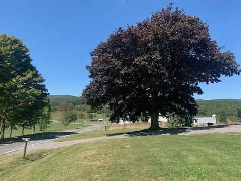 4600 Mountain Turnpike Monterey VA 24465